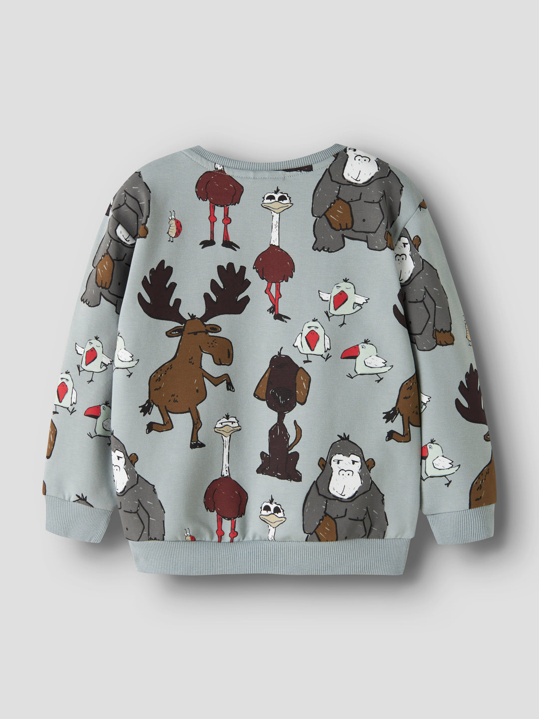 Rad Sweatshirt