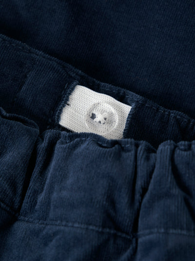 Ben Regular Cord Pant