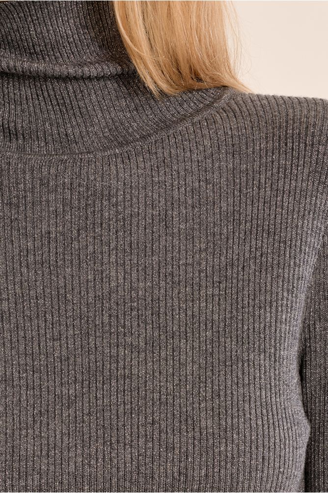 Ribbed Turtleneck